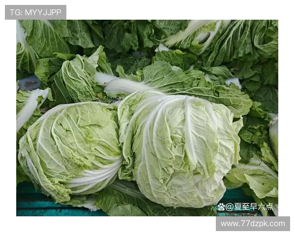 探索白菜网:新鲜蔬菜在线购买的最佳选择 探索白菜网:新鲜蔬菜在线购买的最佳选择